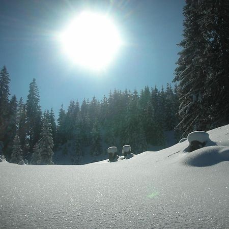 Ferienparadies Taxen Sankt Veit im Pongau Buitenkant foto
