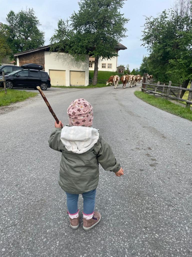 Ferienparadies Taxen Sankt Veit im Pongau Buitenkant foto