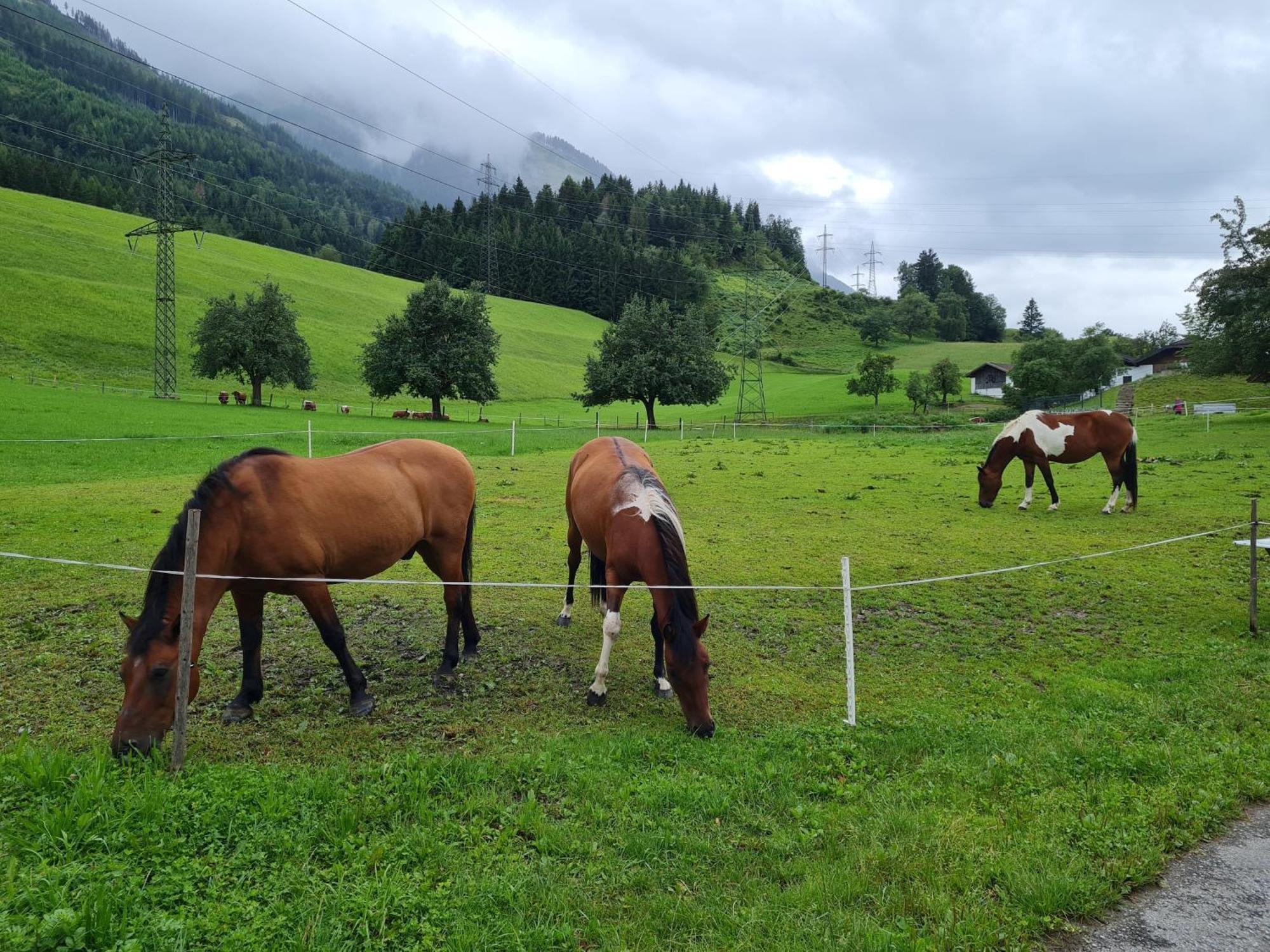 Ferienparadies Taxen Sankt Veit im Pongau Buitenkant foto