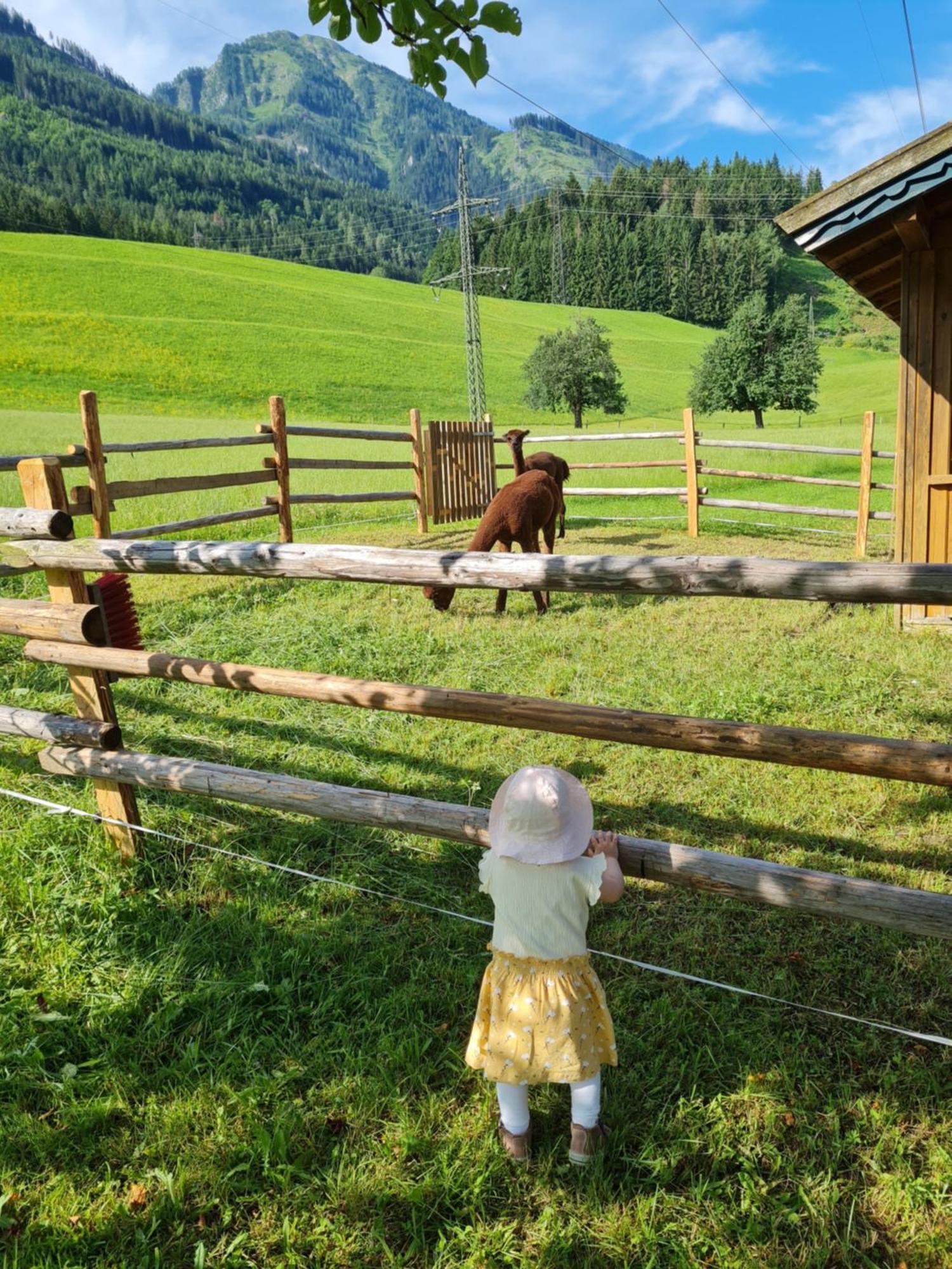 Ferienparadies Taxen Sankt Veit im Pongau Buitenkant foto
