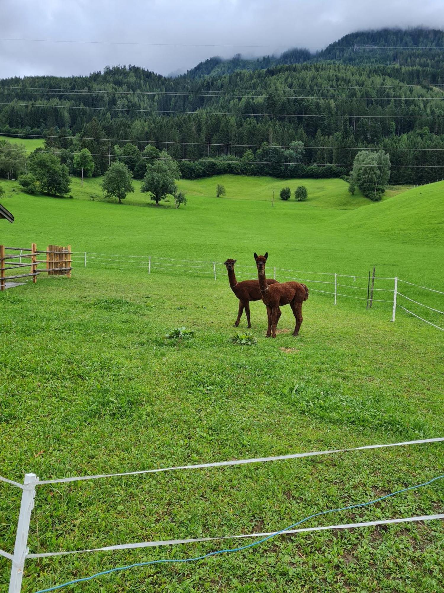 Ferienparadies Taxen Sankt Veit im Pongau Buitenkant foto