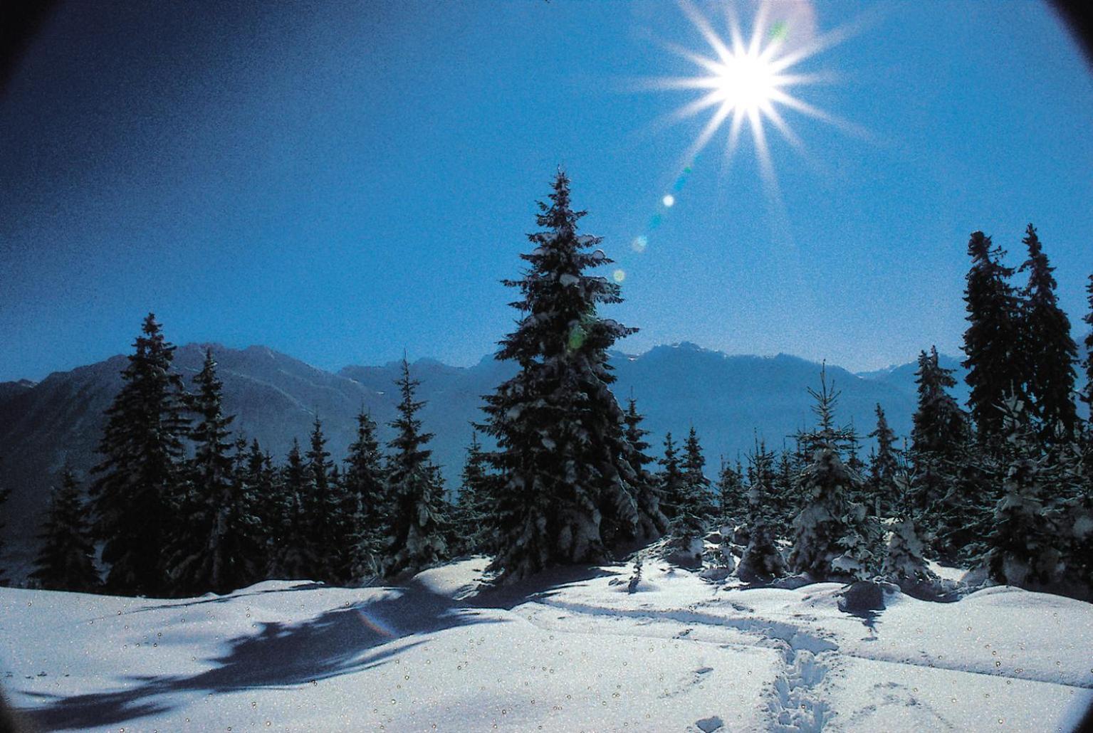 Ferienparadies Taxen Sankt Veit im Pongau Buitenkant foto