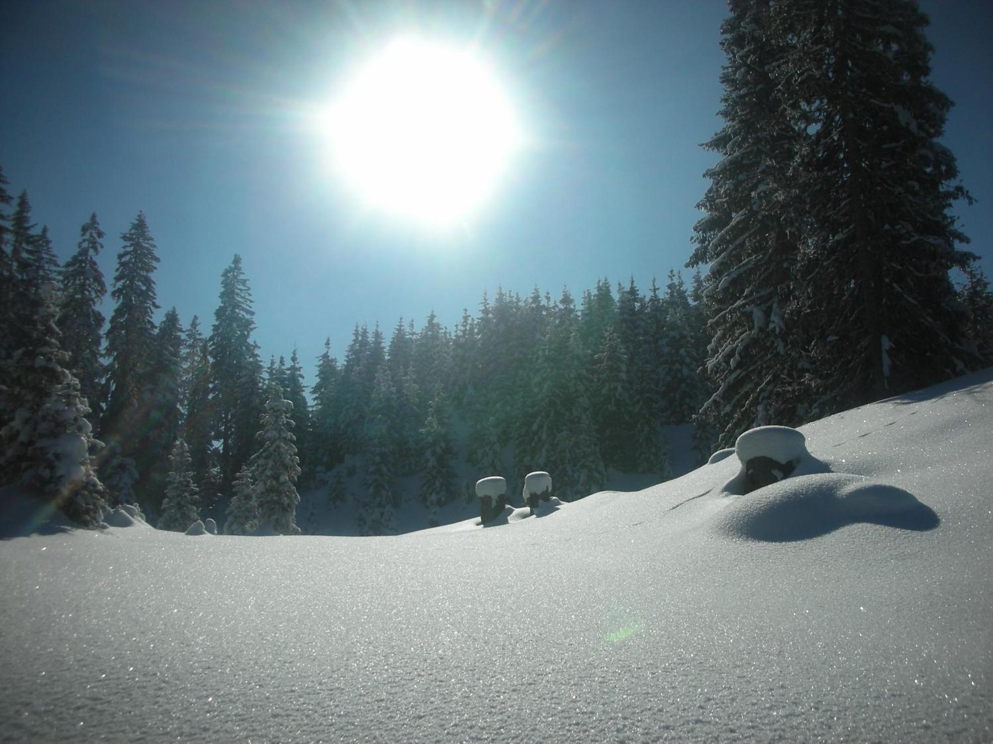 Ferienparadies Taxen Sankt Veit im Pongau Buitenkant foto