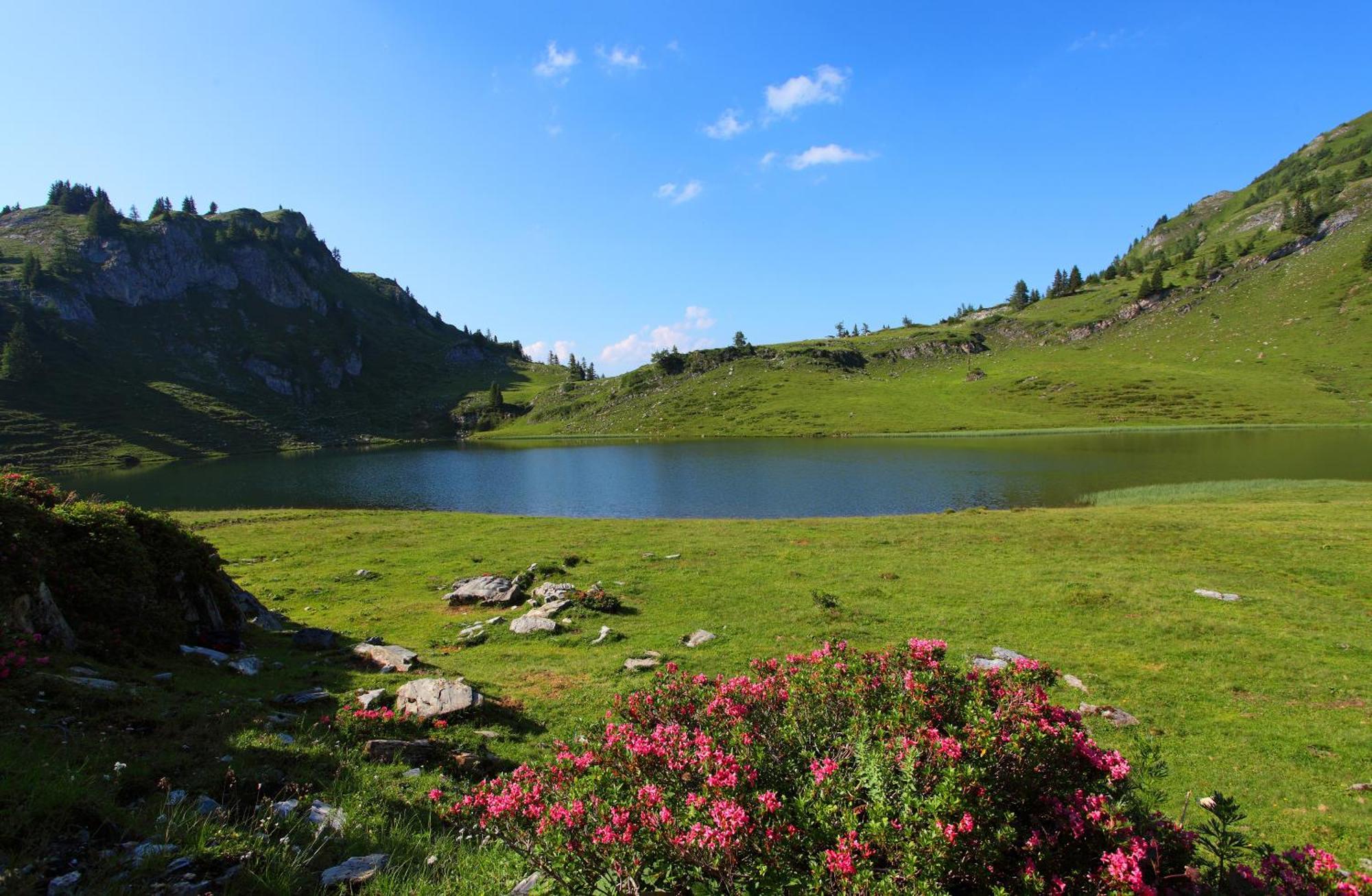 Ferienparadies Taxen Sankt Veit im Pongau Buitenkant foto