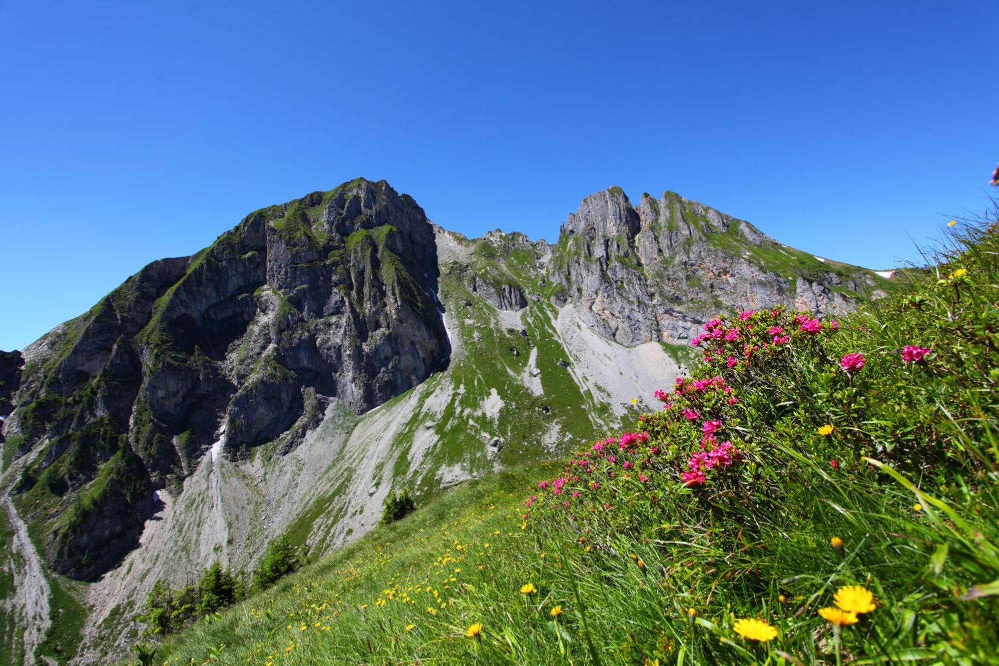 Ferienparadies Taxen Sankt Veit im Pongau Buitenkant foto