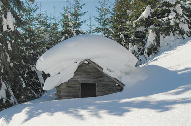 Ferienparadies Taxen Sankt Veit im Pongau Buitenkant foto